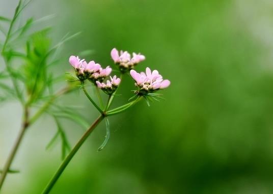 后天打春明天能出門嗎?2022打春當天能洗頭嗎