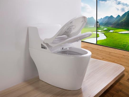 三級能效的馬桶是不是很費水?雙孔馬桶另一個孔容易漏水嗎