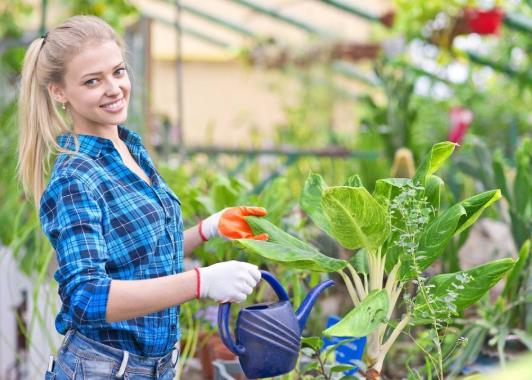 黃豆水澆花怎么才會不臭?燒開放涼的水能澆花嗎