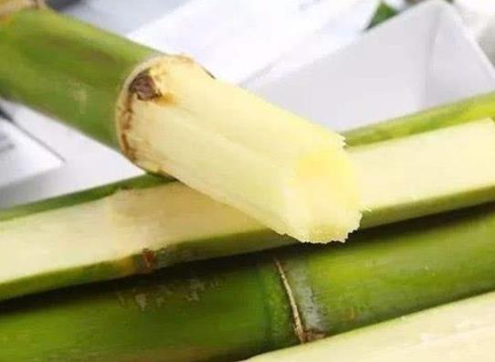 2022春節甘蔗放在門的什么地方?過年買甘蔗是什么意思