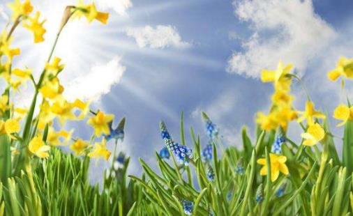 冬天代謝快還是夏天代謝快 冬天鼻子干燥怎么緩解