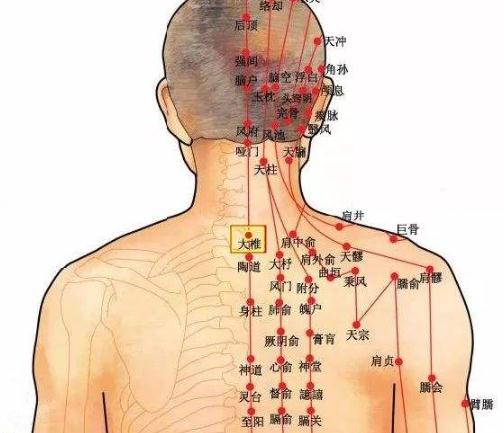 中脘在肚臍上幾指的準(zhǔn)確位置圖 中脘用手怎么找