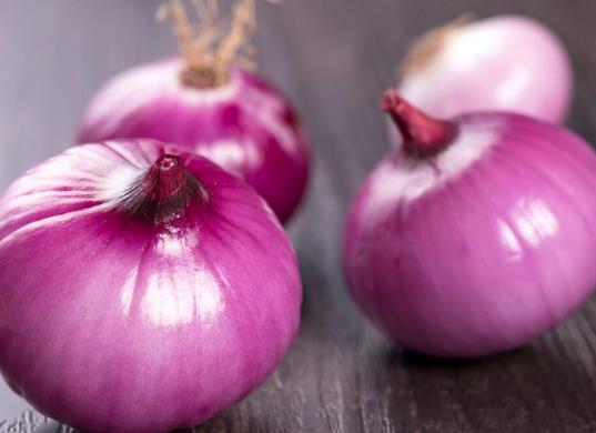 怎么預防洋蔥干枯?洋蔥發芽可以用來做盆栽嗎