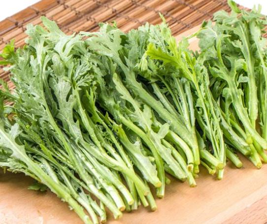 茼蒿生長的適宜溫度是怎樣的?如何種植茼蒿種子