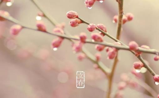 立春意味著天氣變暖嗎 什么節氣過后天氣變暖