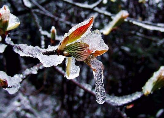 倒春寒會(huì)影響一整年的天氣嗎?2022年有幾次倒春寒