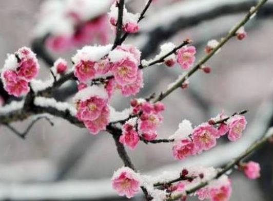 倒春寒釣深還是釣淺?倒春寒釣魚的注意事項(xiàng)