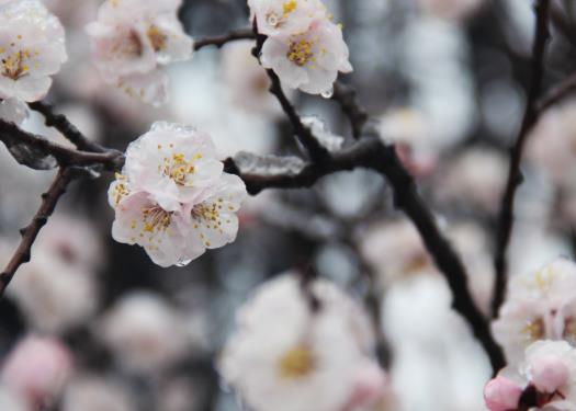 倒春寒釣深還是釣淺?倒春寒釣魚的注意事項(xiàng)