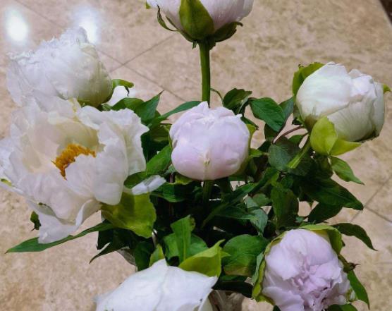 醒花時花頭泡水會怎么樣?醒花醒到什么樣子就可以了