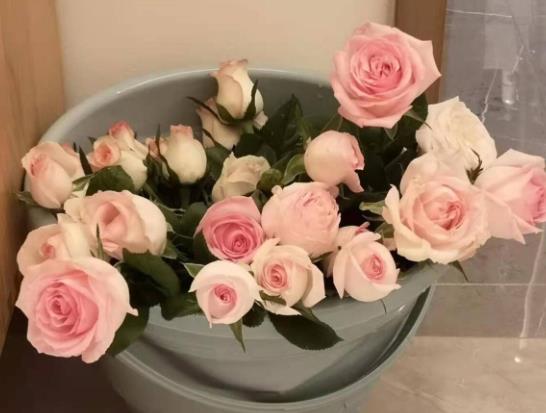 醒花可以醒兩天嗎?醒花超過(guò)24小時(shí)要緊嗎