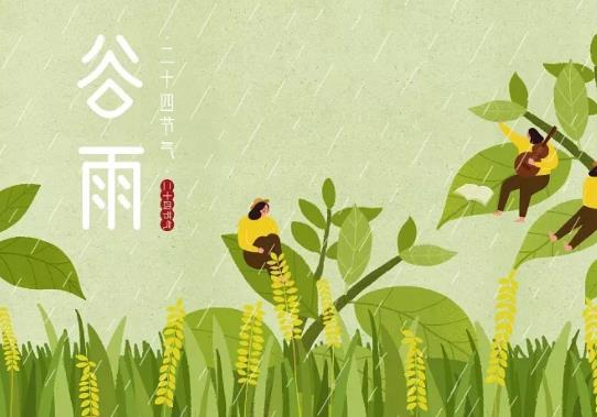 谷雨前后種什么農作物?2022年谷雨是哪一天