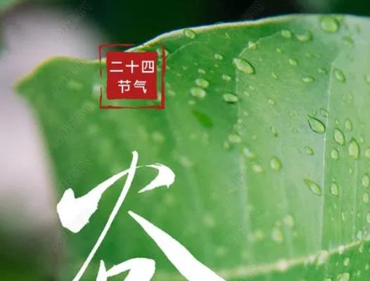 谷雨前后種什么農作物?2022年谷雨是哪一天