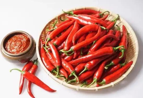 辣椒定植后怎么澆水?辣椒籽種前怎么泡