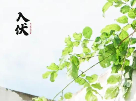 三伏天最高溫度能達到多少?2022年三伏天的起止時間