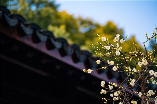 2021�㴺����ϴ���-�z�D�W