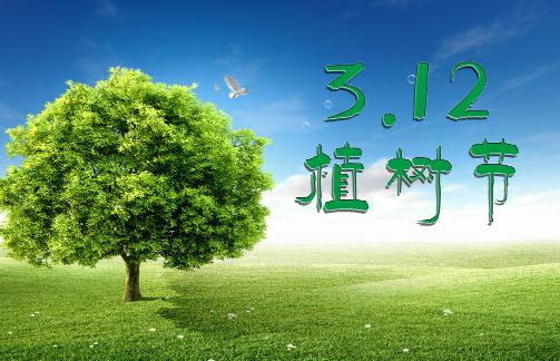 植樹節是幾月幾日?今天是什么節日?植樹節的由來和意義