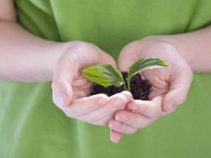 4月10日是什么節日？非洲環境保護日是幾月幾日