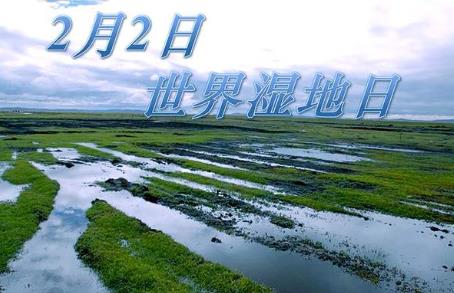 2月2日是什么節(jié)日？世界濕地日是幾月幾日
