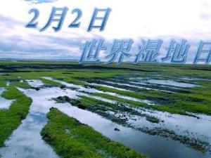 2月2日是什么節日？世界濕地日是幾月幾日