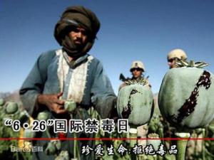 6月26日是什么節日？國際禁毒日是幾月幾日