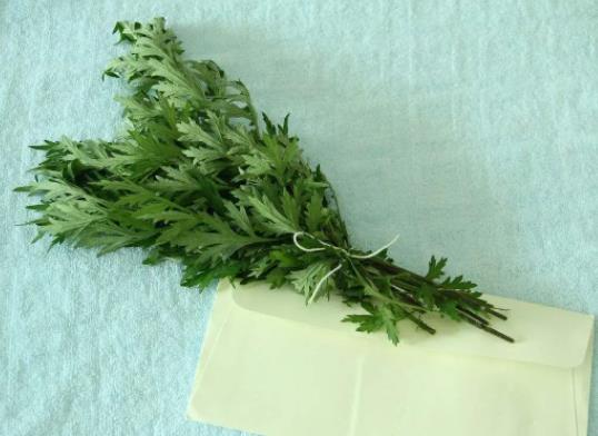 端午掛的艾草用完怎么處理?端午節門上掛艾草什么樣的好