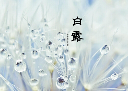 白露是什么時候?白露飲食最佳之選
