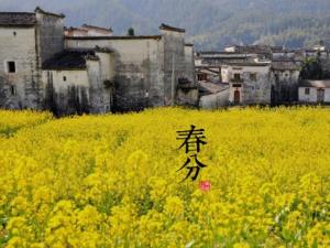 春分是什么時候？二十四節氣之春分的由來與含義