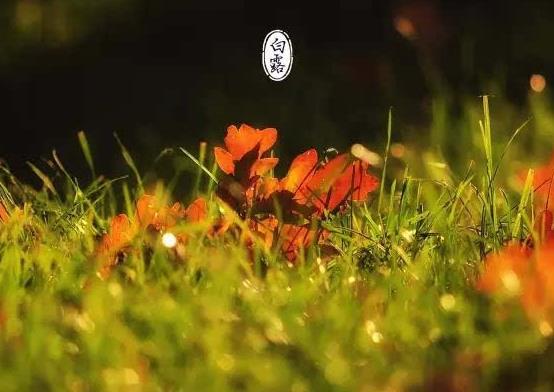 白露是怎么形成的?白露節氣穿什么衣服好?