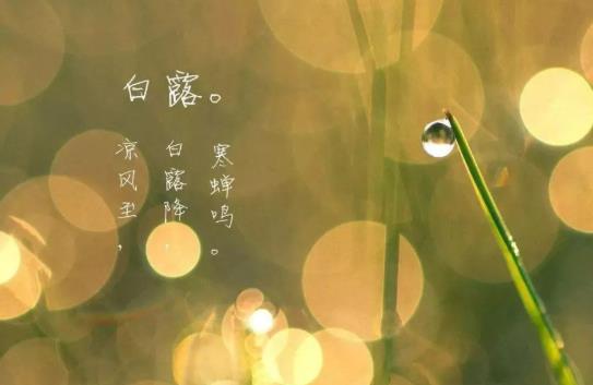 白露什么意思?白露過了天氣就冷了嗎?