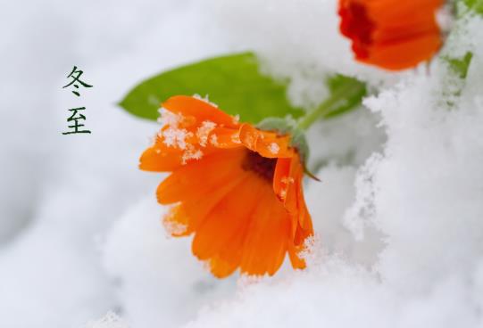 冬至下葬有些什么講究嗎?冬至為什么不能同房?