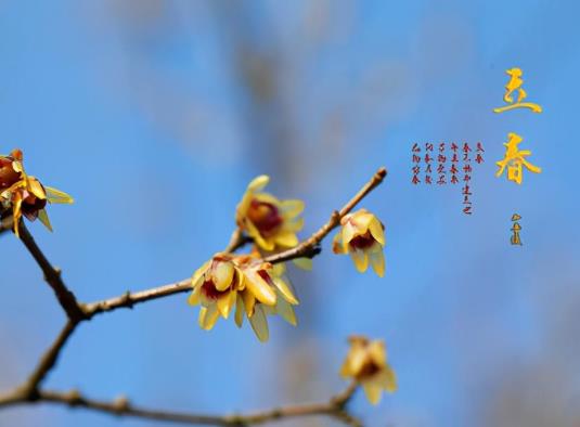 2022立春時正好在上班怎么躲春?立春之后多久才不冷了