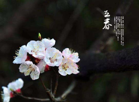 2022立春后天氣還會干燥嗎?2022年躲春如果在上班怎么辦