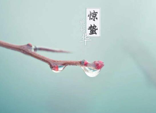 2023年農歷驚蟄是什么時候?2022驚蟄是幾時幾分幾秒