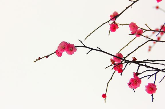 關于健康心情的話語說說 祝福身體健康的句子祝福語