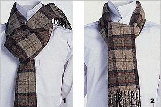 ��ʿ����ϵ���D��һ