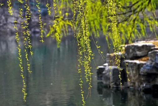 ����ǧ������ʲô��������ǧ��������Դ��ʲô��