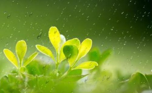 “秋千節(jié)”是什么節(jié)?“秋千節(jié)”的起源是什么?