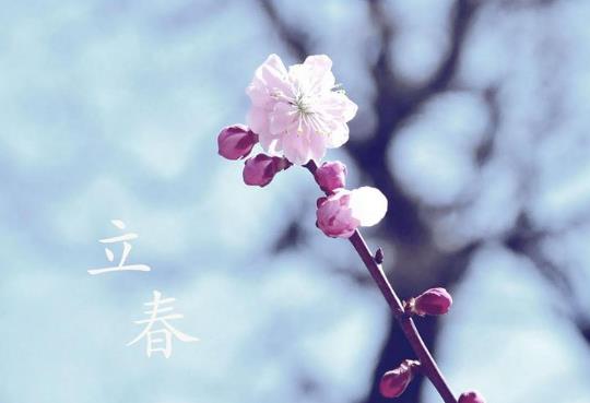 去婆婆家躲春必須住婆婆家嗎?屬豬的人2022臉躲春必須要睡覺嗎?