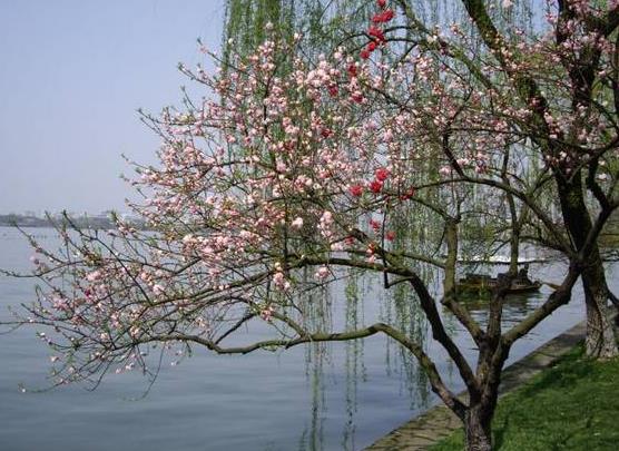 躲春玩手機(jī)有什么后果沒?躲春是不是誰都不能見?