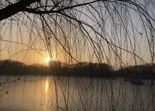 2022年躲春的時候可以做什么?2022年孩子為什么要躲春躲年