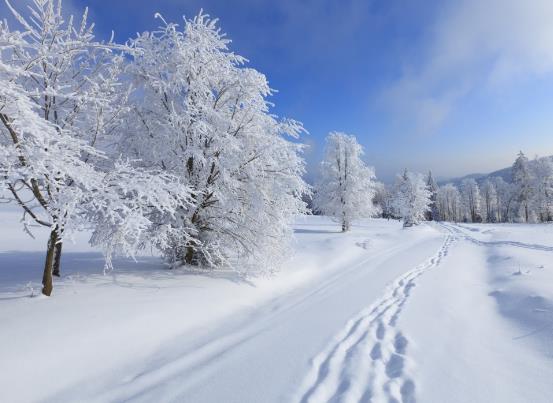 下雪天開車可以踩剎車嗎?下雪天開車開暖風還是冷風?