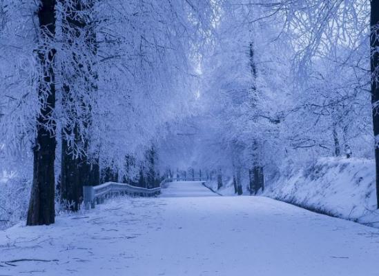 下雪天開車可以踩剎車嗎?下雪天開車開暖風還是冷風?