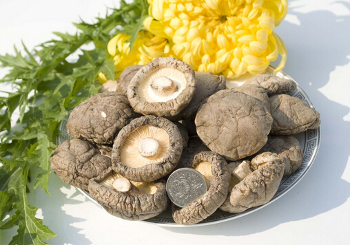 寶寶能吃香菇嗎?寶寶吃香菇的做法