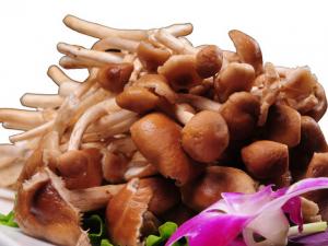 寶寶可以吃杏鮑菇嗎？吃杏鮑菇的禁忌