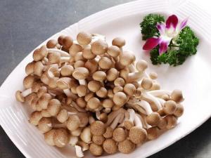 寶寶能吃蟹味菇嗎?怎樣吃蟹味菇才安全