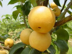 ��������Æ᣿��������ĺ�̎