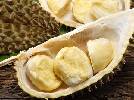 �����ܳ���ɏ�᣿��������ɏ������