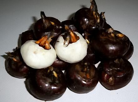 �����ܳ�ݩ�j����������ݩ�j������