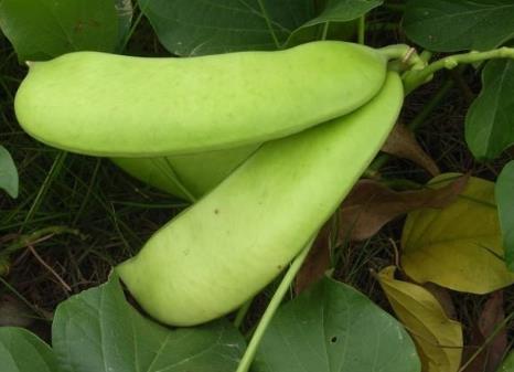 �����Ե�����ʲô��̎�������Ե���������