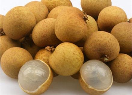 �����ܳԹ��A���������Թ��A��ʳ�ý���